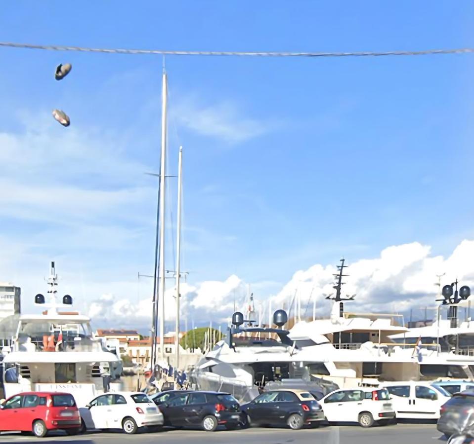 Villa Valentina Versilia 维亚雷焦 外观 照片